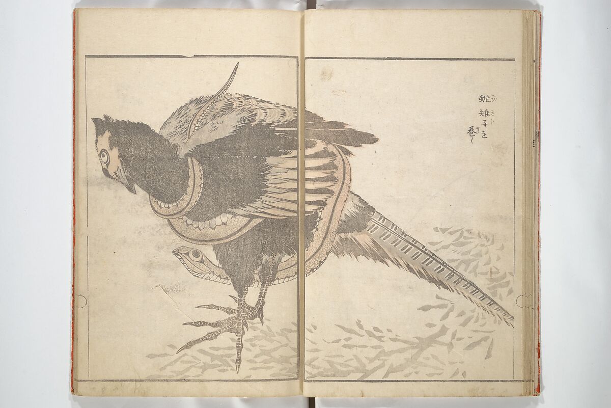 Various Pictures by Hokusai (Hokusai soga) 北斎麁画, Katsushika Hokusai 葛飾北斎 (Japanese, Tokyo (Edo) 1760–1849 Tokyo (Edo)), Woodblock printed book; ink and color on paper, Japan