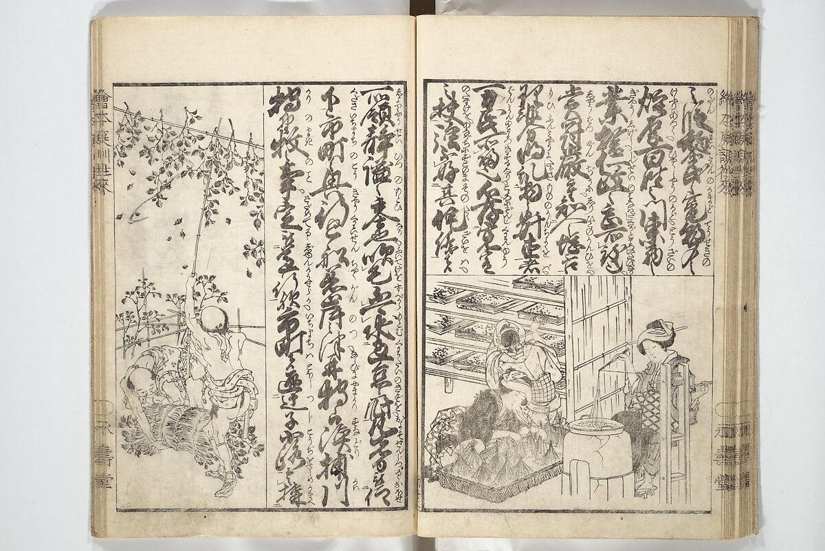 Picture Book on the Communication of Home Precepts part III (Ehon teikin ōrai gehen) 絵本庭訓往来下編, Katsushika Hokusai 葛飾北斎 (Japanese, Tokyo (Edo) 1760–1849 Tokyo (Edo)), Set of three woodblock printed books; ink on paper, Japan