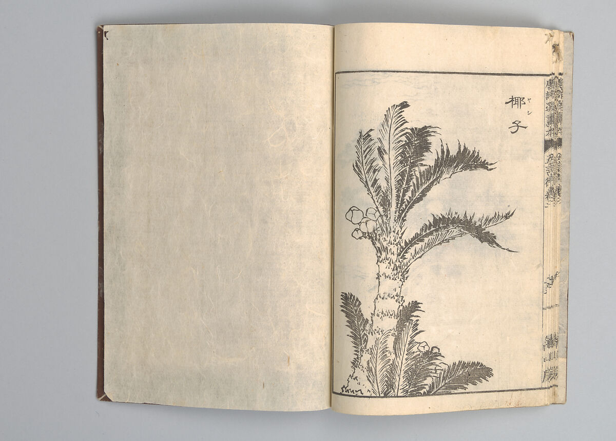 Illustrated “Anthology of Tang-Dynasty Poems” in Five-Syllable Lines (Tōshisen ehon gogon ritsu hairitsu) 画本唐詩選五言律排律, Katsushika Hokusai 葛飾北斎 (Japanese, Tokyo (Edo) 1760–1849 Tokyo (Edo)), Format: 5 volumes, fukurotoji (pouch binding); chūbon, Japan