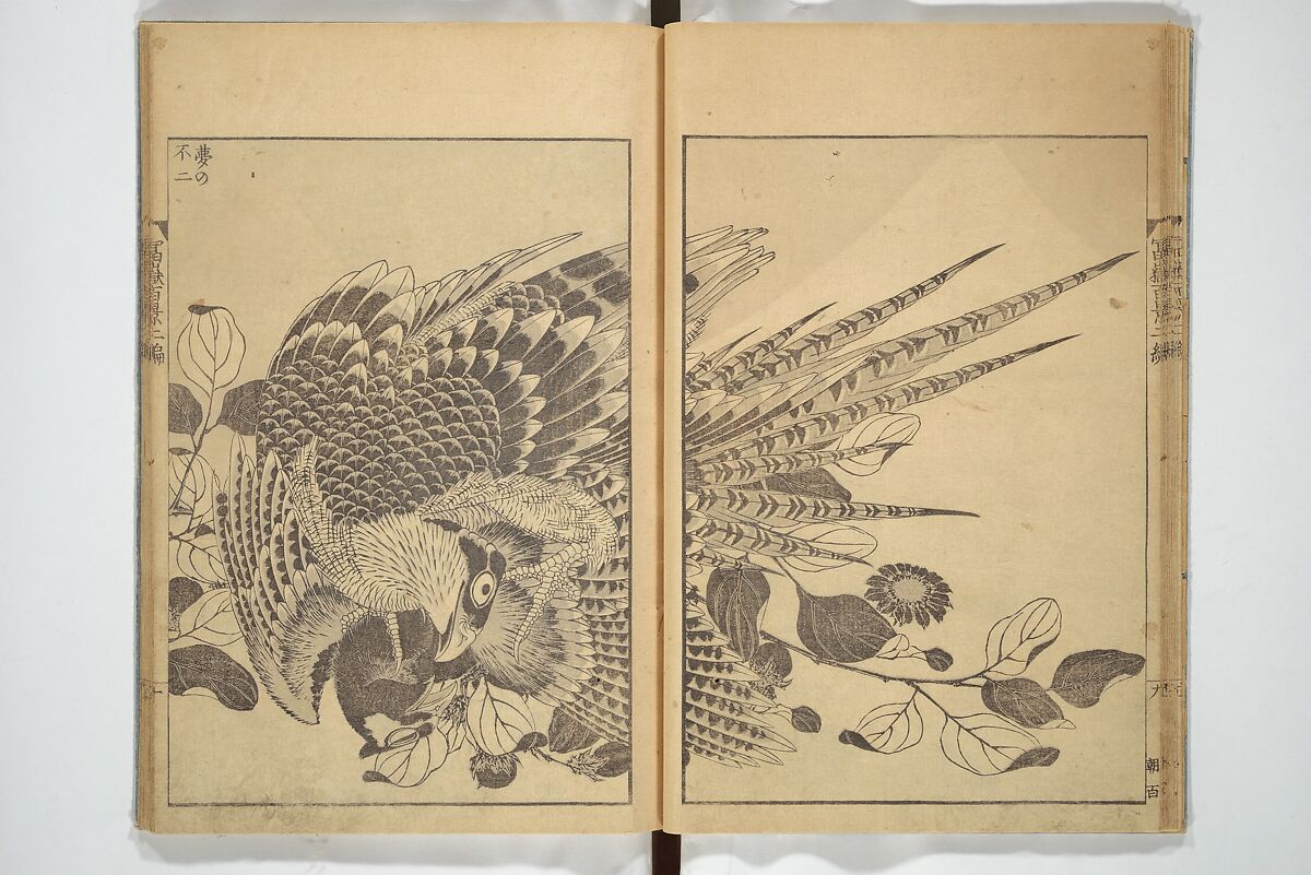 One Hundred Views of Mount Fuji (Fugaku hyakkei) 富嶽百景, Katsushika Hokusai 葛飾北斎 (Japanese, Tokyo (Edo) 1760–1849 Tokyo (Edo)), Set of three woodblock printed books; ink on paper, Japan