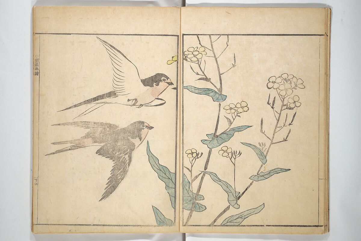 Picture Album by Old Man Maruyama (En'ō gafu)  円翁画譜, After Maruyama Ōkyo 円山応挙 (Japanese, 1733–1795), Set of two woodblock printed books; ink and color on paper, Japan