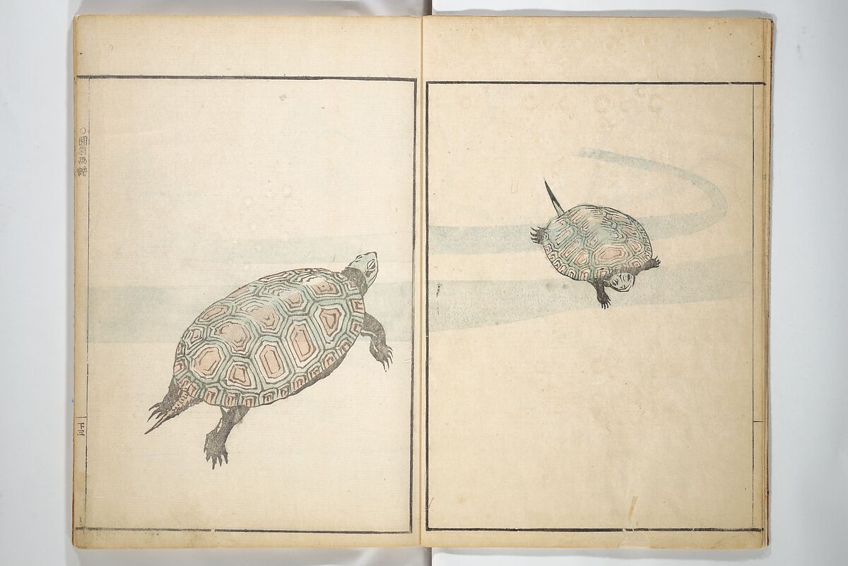 Picture Album by Old Man Maruyama (En'ō gafu)  円翁画譜, After Maruyama Ōkyo 円山応挙 (Japanese, 1733–1795), Set of two woodblock printed books; ink and color on paper, Japan