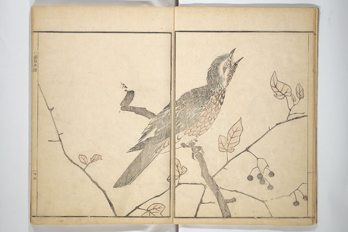 Picture Album by Old Man Maruyama (En'ō gafu)  円翁画譜, After Maruyama Ōkyo 円山応挙 (Japanese, 1733–1795), Set of two woodblock printed books; ink and color on paper, Japan