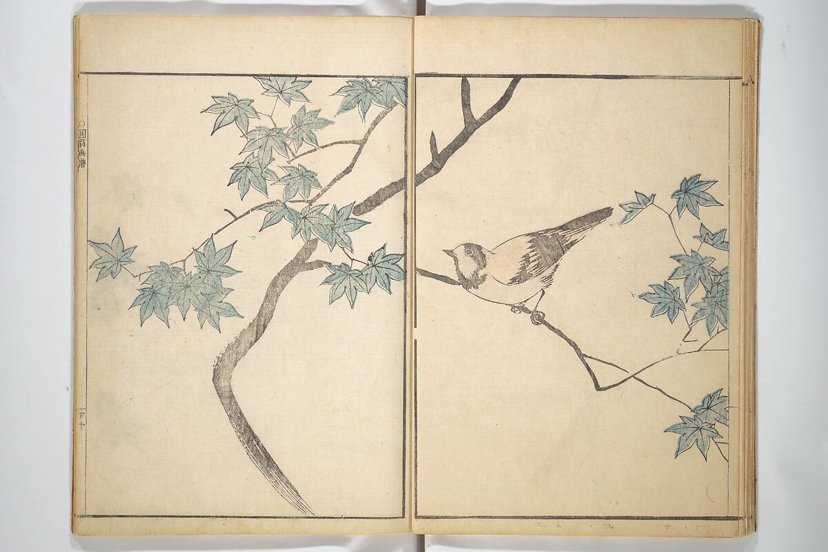 Picture Album by Old Man Maruyama (En'ō gafu)  円翁画譜, After Maruyama Ōkyo 円山応挙 (Japanese, 1733–1795), Set of two woodblock printed books; ink and color on paper, Japan