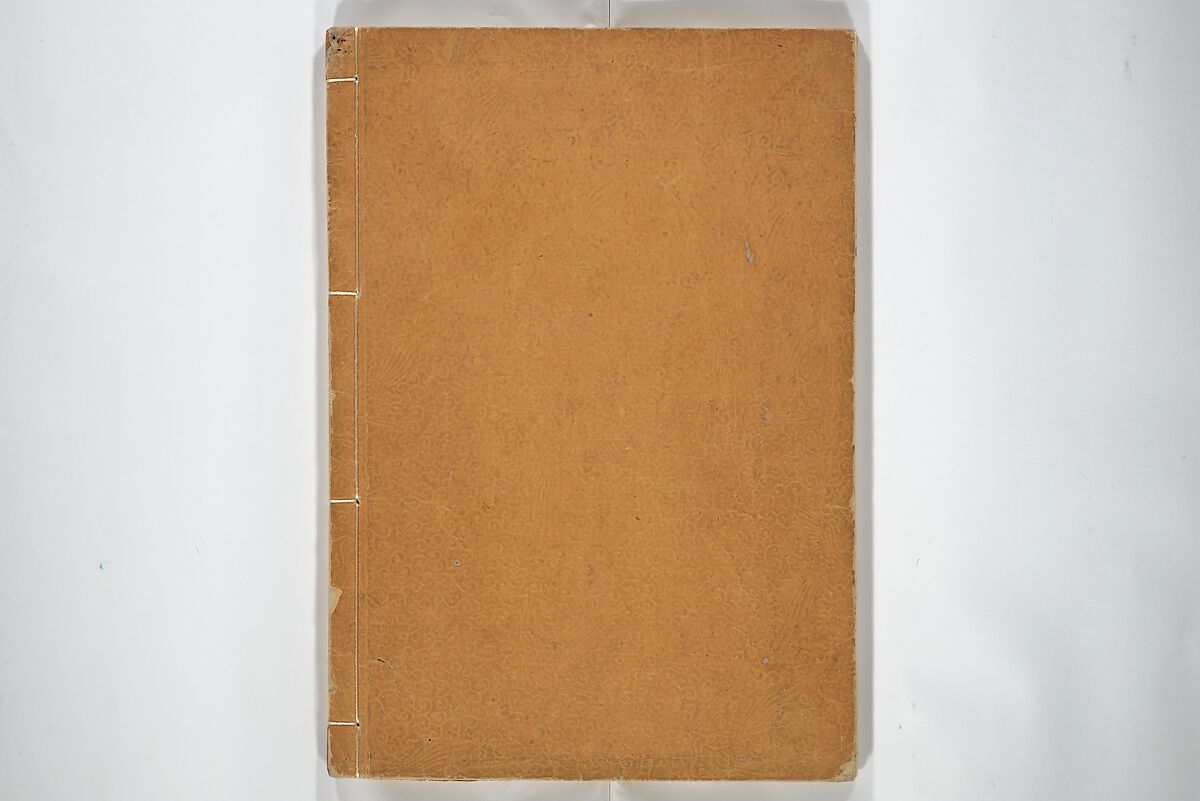 Picture Album by Old Man Maruyama (En'ō gafu)  円翁画譜, After Maruyama Ōkyo 円山応挙 (Japanese, 1733–1795), Set of two woodblock printed books; ink and color on paper, Japan