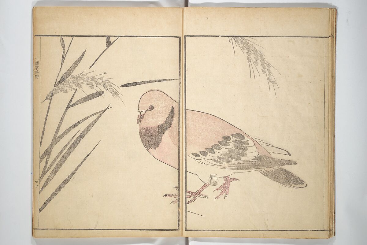 Picture Album by Old Man Maruyama (En'ō gafu)  円翁画譜, After Maruyama Ōkyo 円山応挙 (Japanese, 1733–1795), Set of two woodblock printed books; ink and color on paper, Japan
