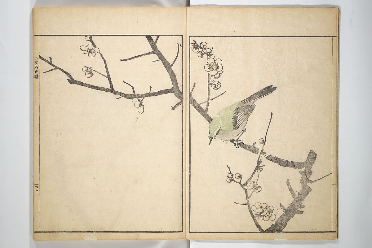 Picture Album by Old Man Maruyama (En'ō gafu)  円翁画譜, After Maruyama Ōkyo 円山応挙 (Japanese, 1733–1795), Set of two woodblock printed books; ink and color on paper, Japan