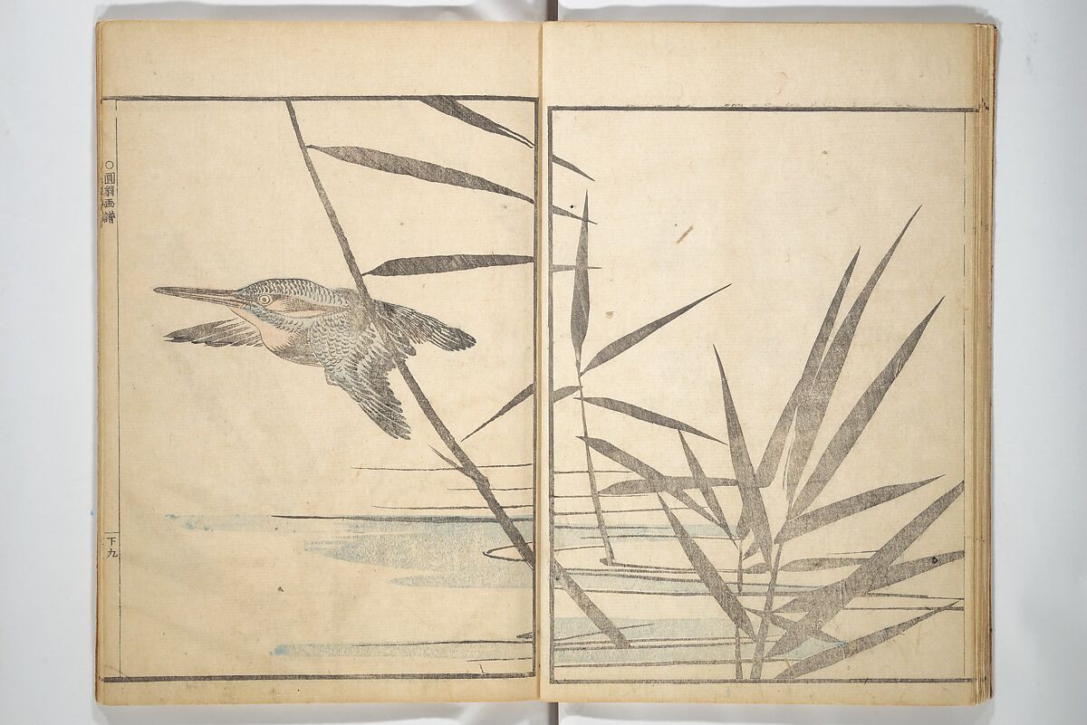 Picture Album by Old Man Maruyama (En'ō gafu)  円翁画譜, After Maruyama Ōkyo 円山応挙 (Japanese, 1733–1795), Set of two woodblock printed books; ink and color on paper, Japan