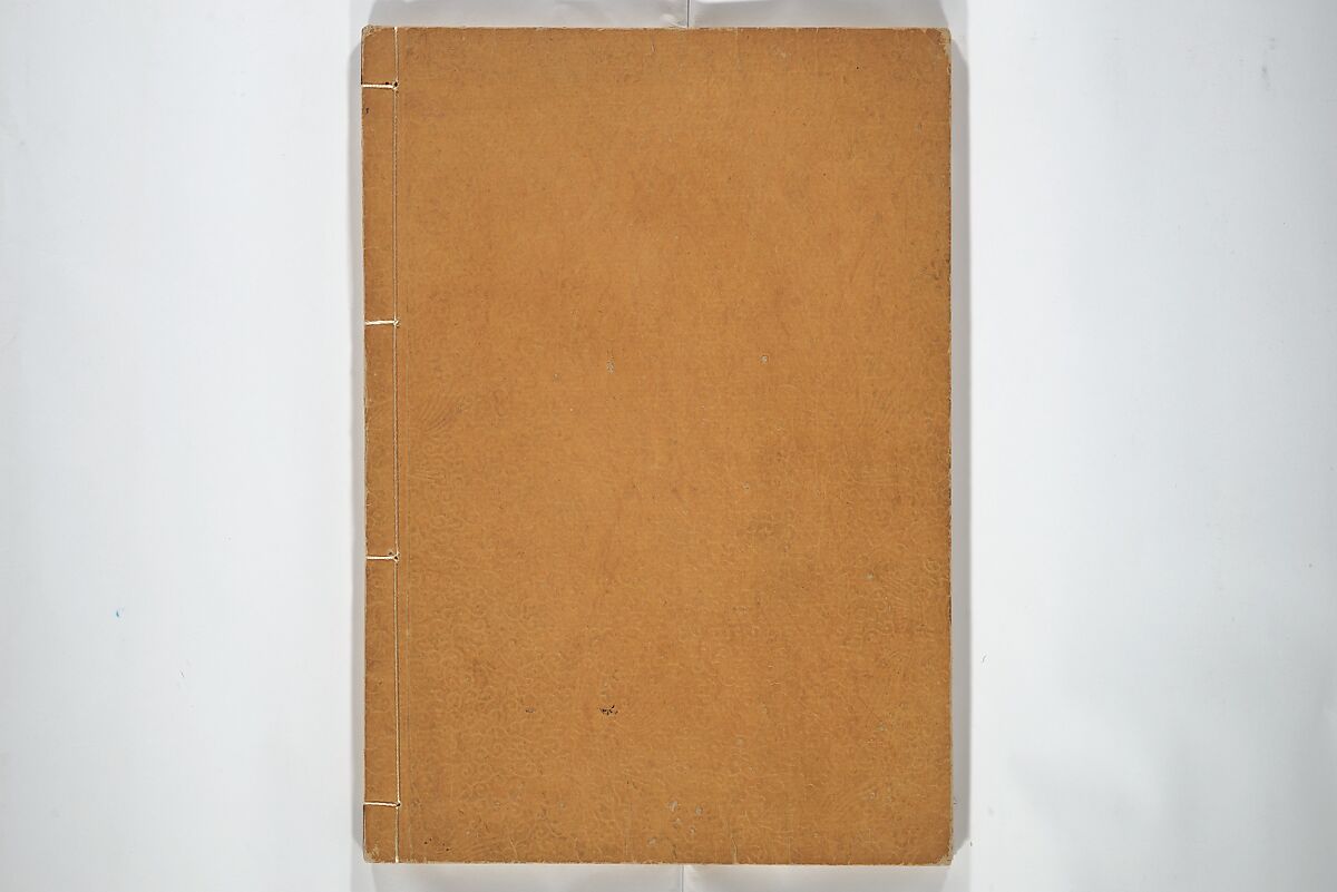 Picture Album by Old Man Maruyama (En'ō gafu)  円翁画譜, After Maruyama Ōkyo 円山応挙 (Japanese, 1733–1795), Set of two woodblock printed books; ink and color on paper, Japan