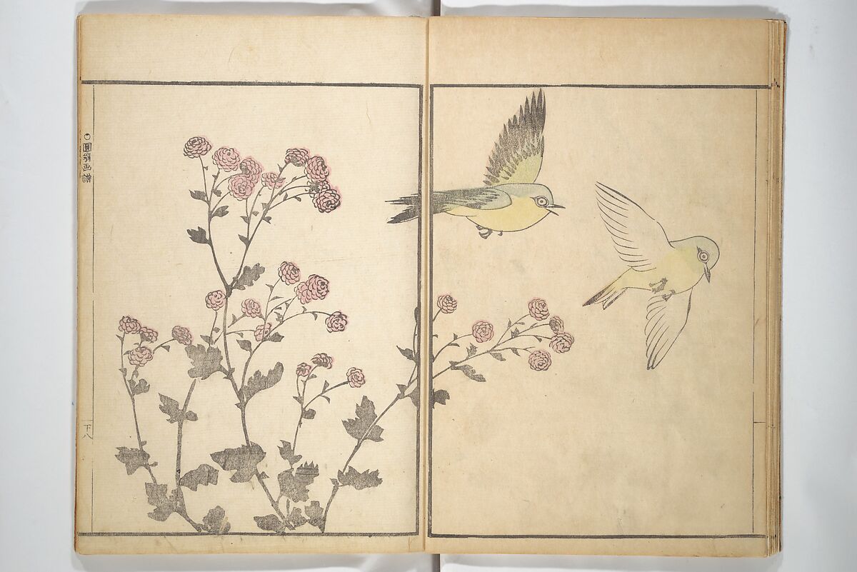 Picture Album by Old Man Maruyama (En'ō gafu)  円翁画譜, After Maruyama Ōkyo 円山応挙 (Japanese, 1733–1795), Set of two woodblock printed books; ink and color on paper, Japan