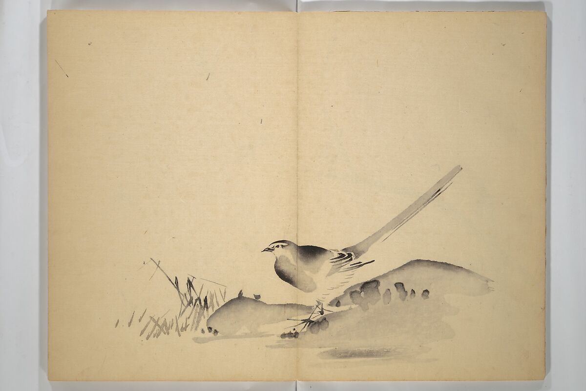 Ōkyō Picture Album (Ōkyo gafu) 應舉画譜, After Maruyama Ōkyo 円山応挙 (Japanese, 1733–1795), Woodblock printed book (orihon, accordion-style); ink and color on paper, Japan