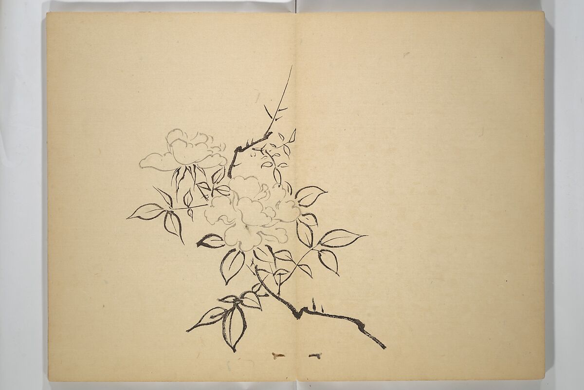 Ōkyō Picture Album (Ōkyo gafu) 應舉画譜, After Maruyama Ōkyo 円山応挙 (Japanese, 1733–1795), Woodblock printed book (orihon, accordion-style); ink and color on paper, Japan