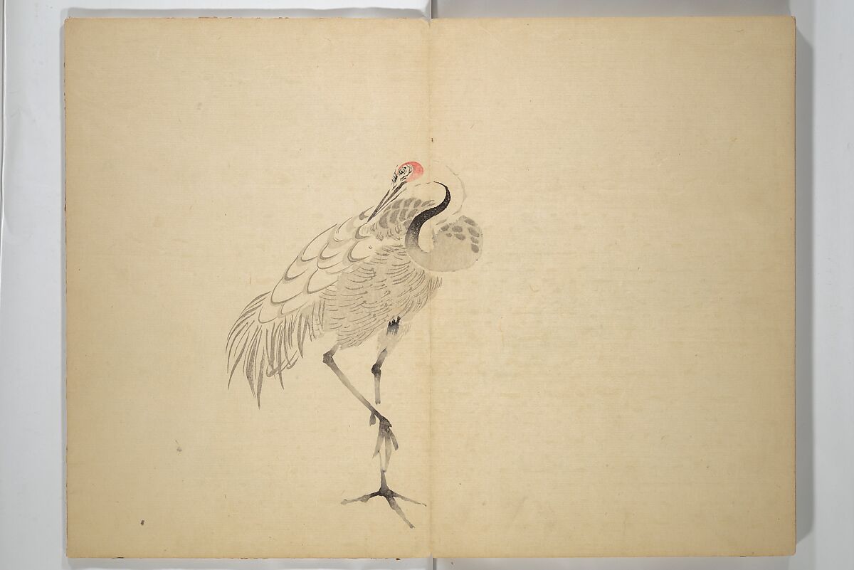 Ōkyō Picture Album (Ōkyo gafu) 應舉画譜, After Maruyama Ōkyo 円山応挙 (Japanese, 1733–1795), Woodblock printed book (orihon, accordion-style); ink and color on paper, Japan