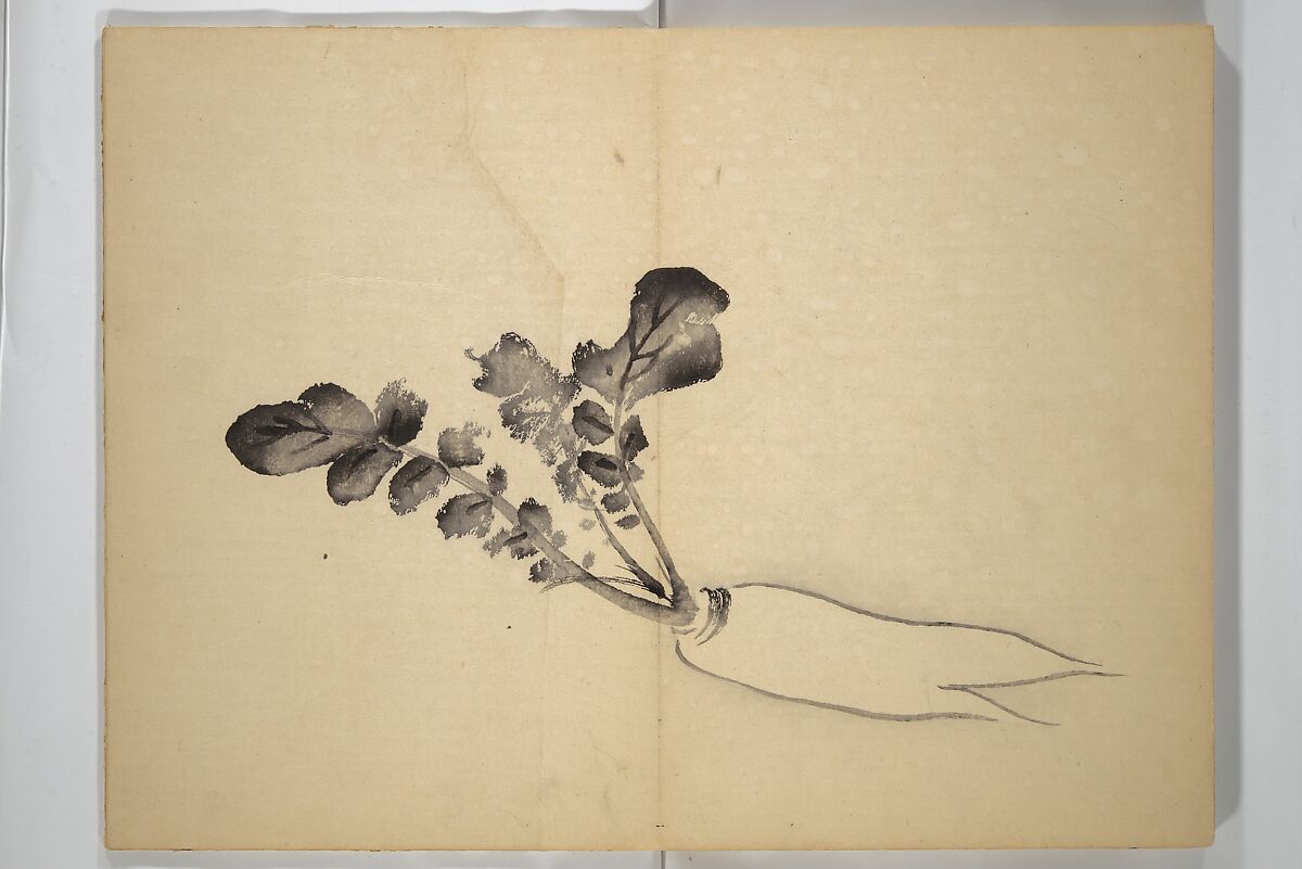 Ōkyō Picture Album (Ōkyo gafu) 應舉画譜, After Maruyama Ōkyo 円山応挙 (Japanese, 1733–1795), Woodblock printed book (orihon, accordion-style); ink and color on paper, Japan