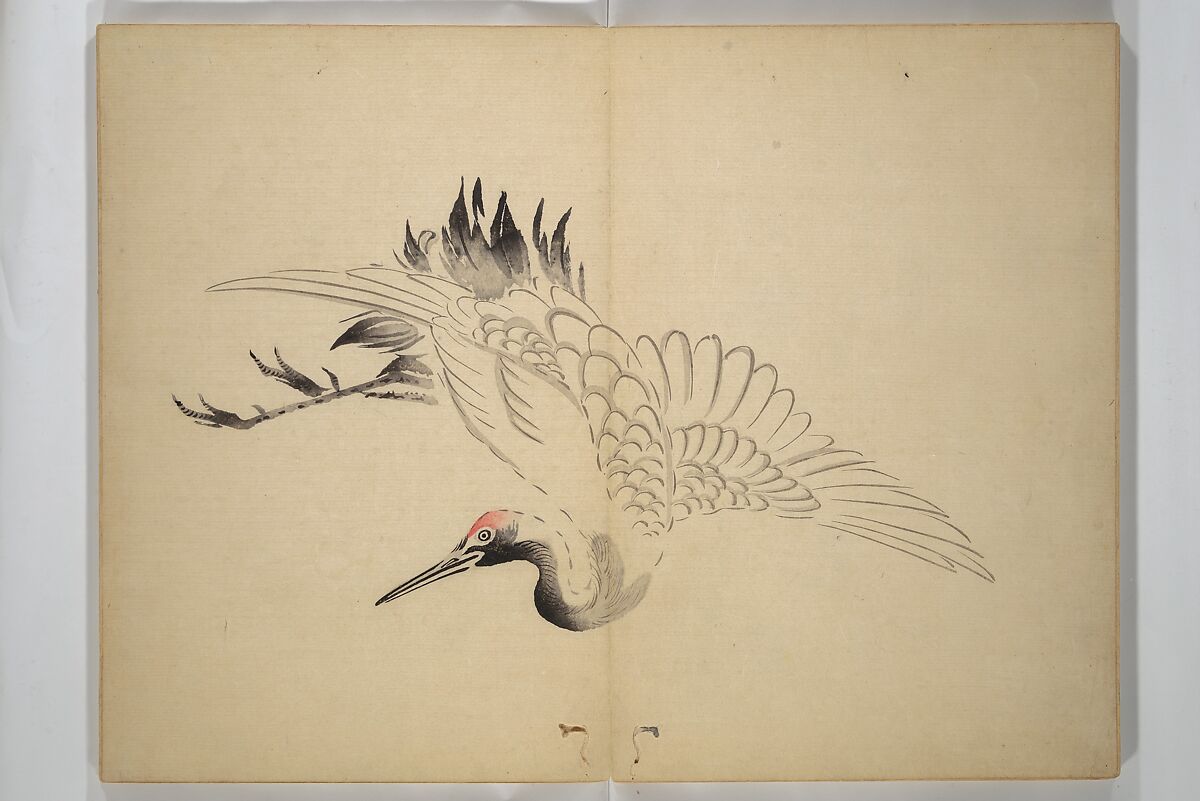 Ōkyō Picture Album (Ōkyo gafu) 應舉画譜, After Maruyama Ōkyo 円山応挙 (Japanese, 1733–1795), Woodblock printed book (orihon, accordion-style); ink and color on paper, Japan