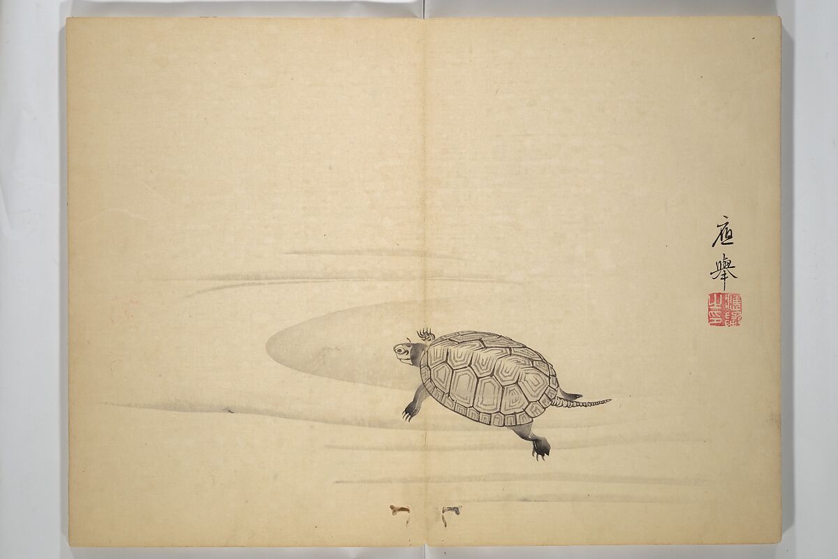 Ōkyō Picture Album (Ōkyo gafu) 應舉画譜, After Maruyama Ōkyo 円山応挙 (Japanese, 1733–1795), Woodblock printed book (orihon, accordion-style); ink and color on paper, Japan