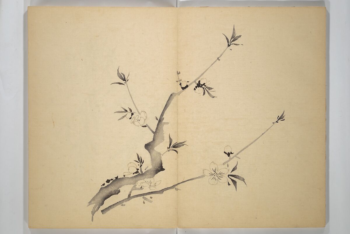 Ōkyō Picture Album (Ōkyo gafu) 應舉画譜, After Maruyama Ōkyo 円山応挙 (Japanese, 1733–1795), Woodblock printed book (orihon, accordion-style); ink and color on paper, Japan