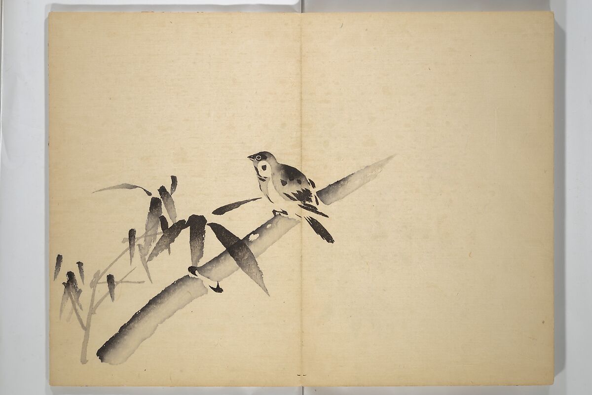Ōkyō Picture Album (Ōkyo gafu) 應舉画譜, After Maruyama Ōkyo 円山応挙 (Japanese, 1733–1795), Woodblock printed book (orihon, accordion-style); ink and color on paper, Japan