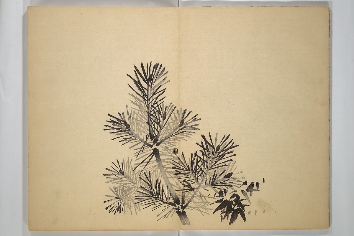 Ōkyō Picture Album (Ōkyo gafu) 應舉画譜, After Maruyama Ōkyo 円山応挙 (Japanese, 1733–1795), Woodblock printed book (orihon, accordion-style); ink and color on paper, Japan