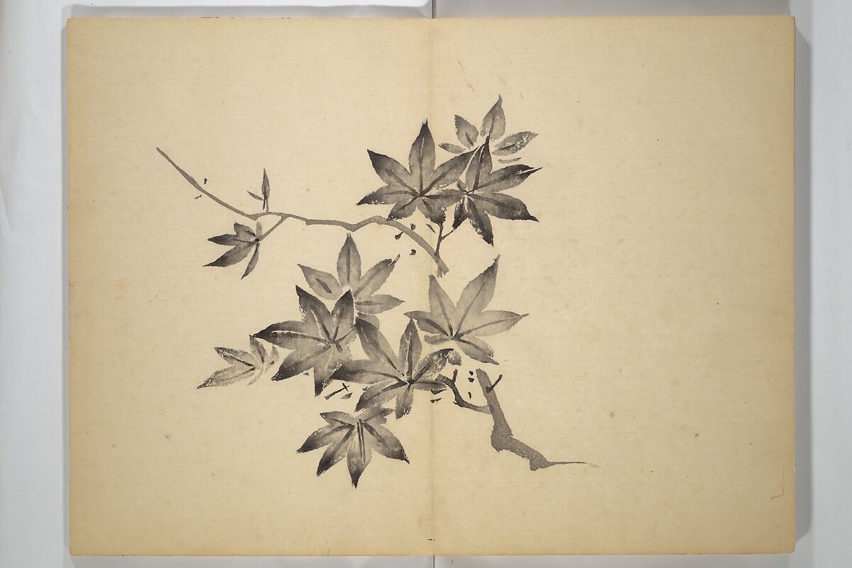 Ōkyō Picture Album (Ōkyo gafu) 應舉画譜, After Maruyama Ōkyo 円山応挙 (Japanese, 1733–1795), Woodblock printed book (orihon, accordion-style); ink and color on paper, Japan