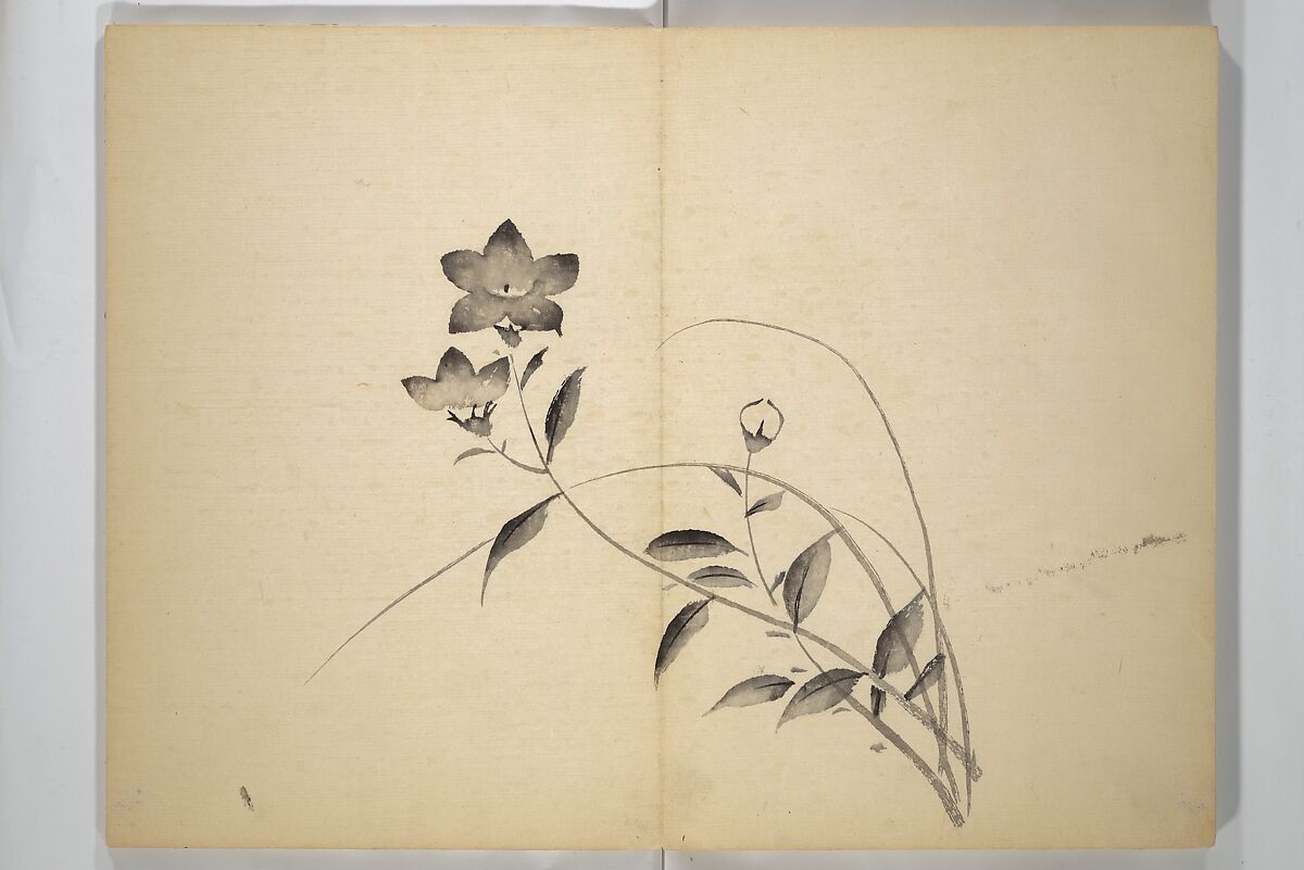 Ōkyō Picture Album (Ōkyo gafu) 應舉画譜, After Maruyama Ōkyo 円山応挙 (Japanese, 1733–1795), Woodblock printed book (orihon, accordion-style); ink and color on paper, Japan