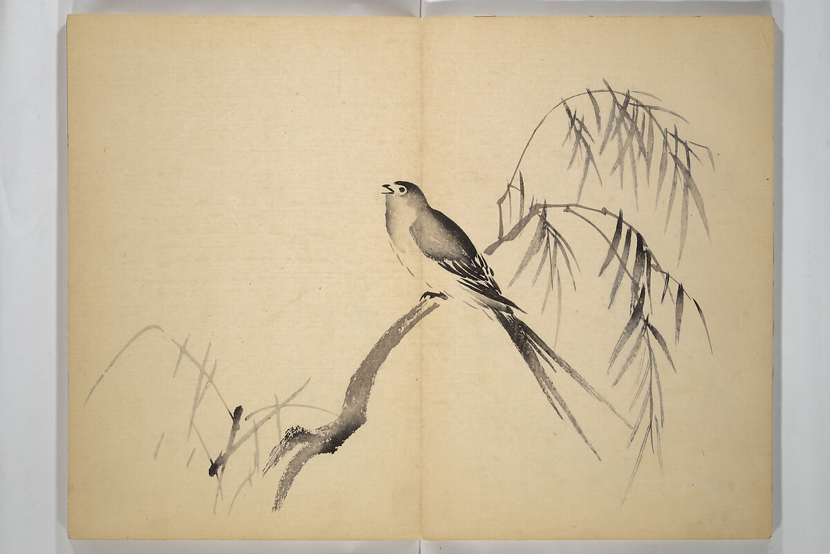 Ōkyō Picture Album (Ōkyo gafu) 應舉画譜, After Maruyama Ōkyo 円山応挙 (Japanese, 1733–1795), Woodblock printed book (orihon, accordion-style); ink and color on paper, Japan 