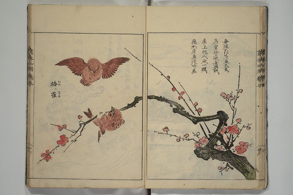 Essentials of Painting (Ehon hitsuyō), Illustrations by Nakaji Sadatoshi (Japanese, active 1716–36), Woodblock-printed book; ink and color on paper, Japan