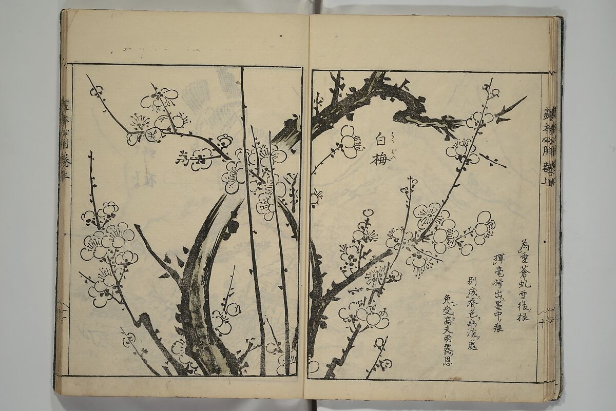 Essentials of Painting (Ehon hitsuyō), Illustrations by Nakaji Sadatoshi (Japanese, active 1716–36), Woodblock-printed book; ink and color on paper, Japan