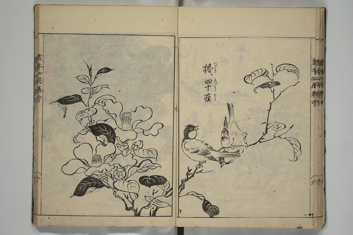 Essentials of Painting (Ehon hitsuyō), Illustrations by Nakaji Sadatoshi (Japanese, active 1716–36), Woodblock-printed book; ink and color on paper, Japan