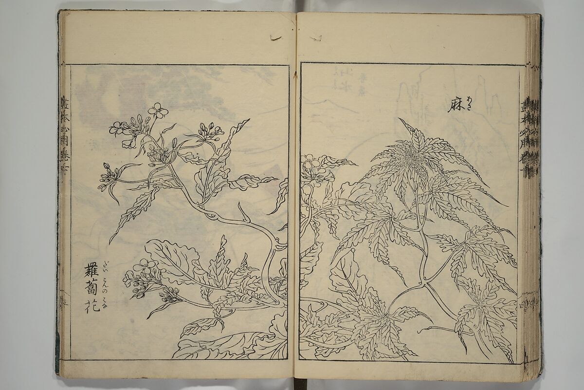 Essentials of Painting (Ehon hitsuyō), Illustrations by Nakaji Sadatoshi (Japanese, active 1716–36), Woodblock-printed book; ink and color on paper, Japan