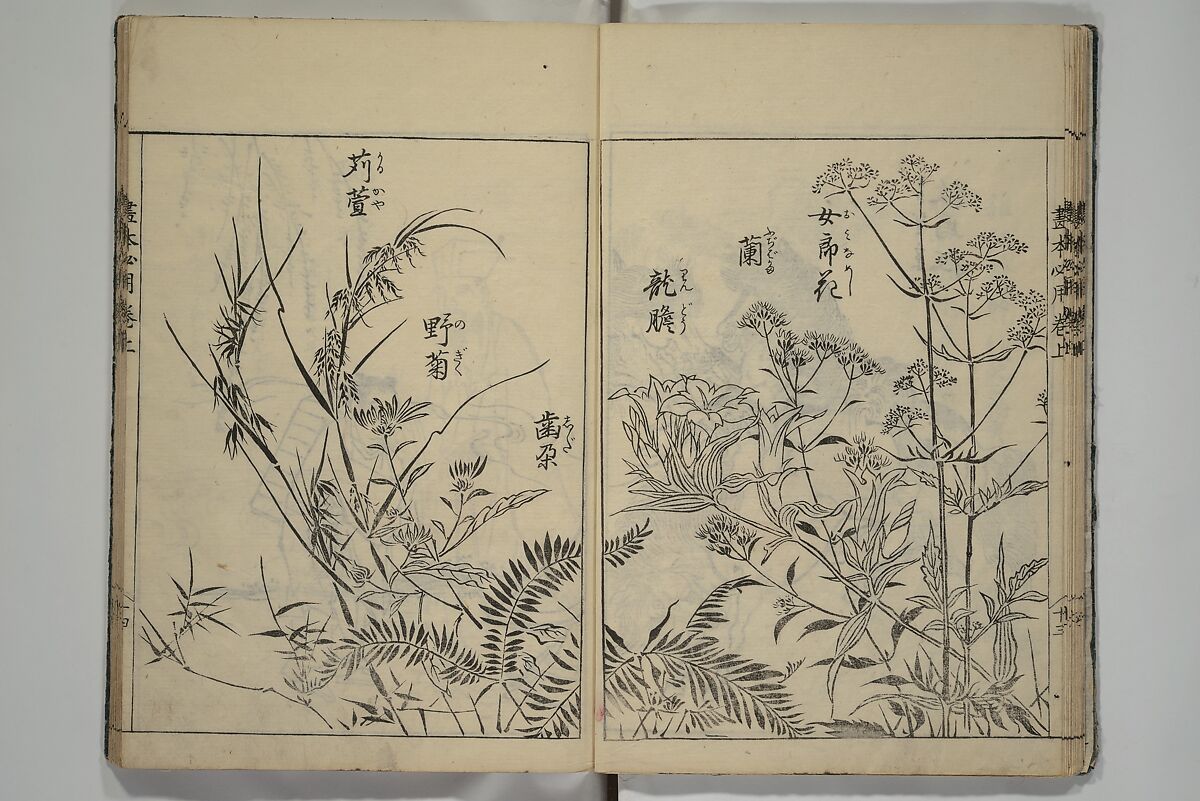 Essentials of Painting (Ehon hitsuyō), Illustrations by Nakaji Sadatoshi (Japanese, active 1716–36), Woodblock-printed book; ink and color on paper, Japan