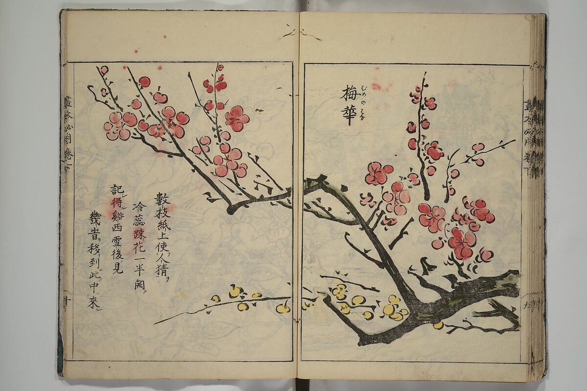 Essentials of Painting (Ehon hitsuyō), Illustrations by Nakaji Sadatoshi (Japanese, active 1716–36), Woodblock-printed book; ink and color on paper, Japan