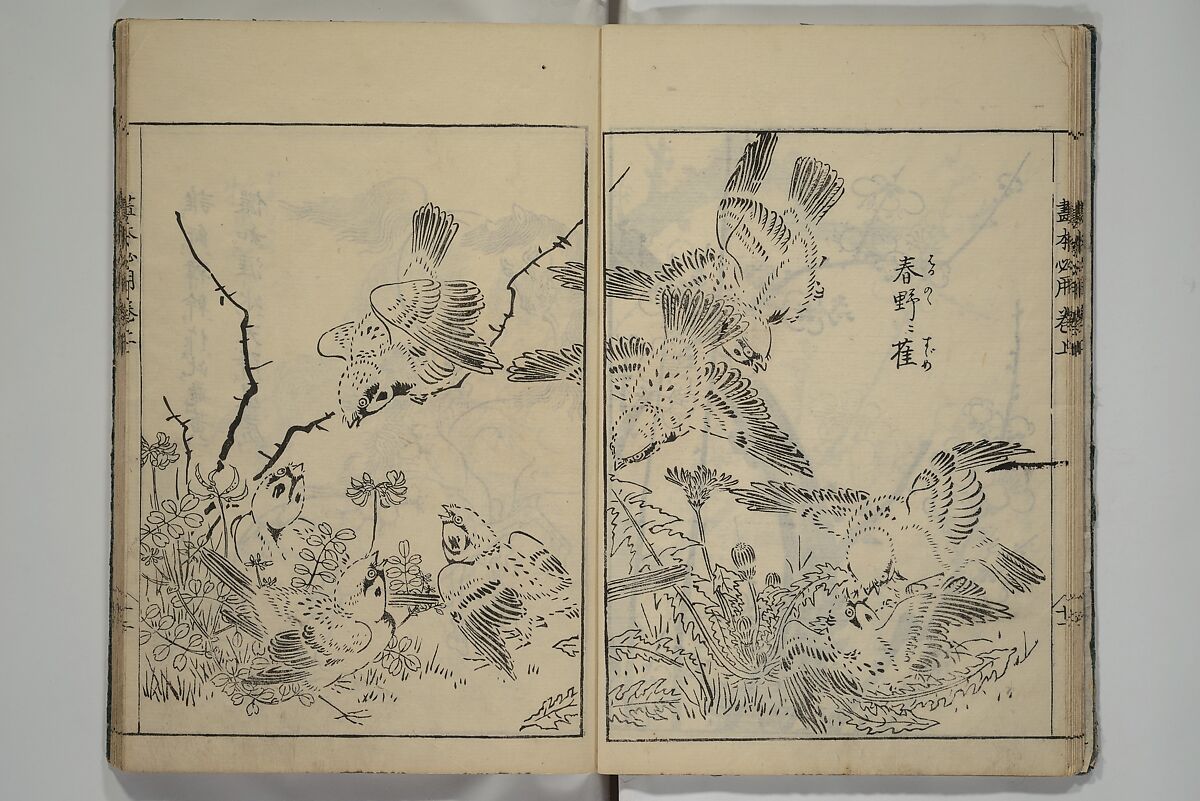 Essentials of Painting (Ehon hitsuyō), Illustrations by Nakaji Sadatoshi (Japanese, active 1716–36), Woodblock-printed book; ink and color on paper, Japan