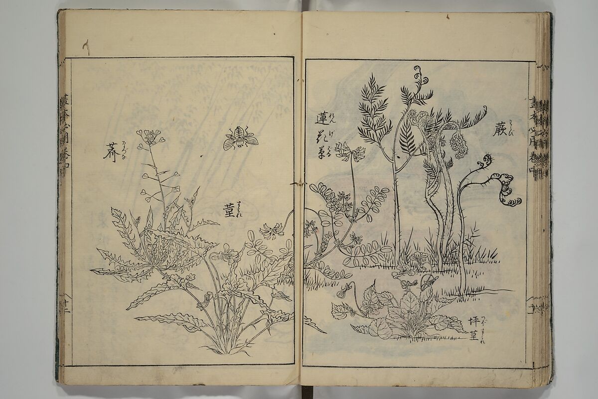 Essentials of Painting (Ehon hitsuyō), Illustrations by Nakaji Sadatoshi (Japanese, active 1716–36), Woodblock-printed book; ink and color on paper, Japan