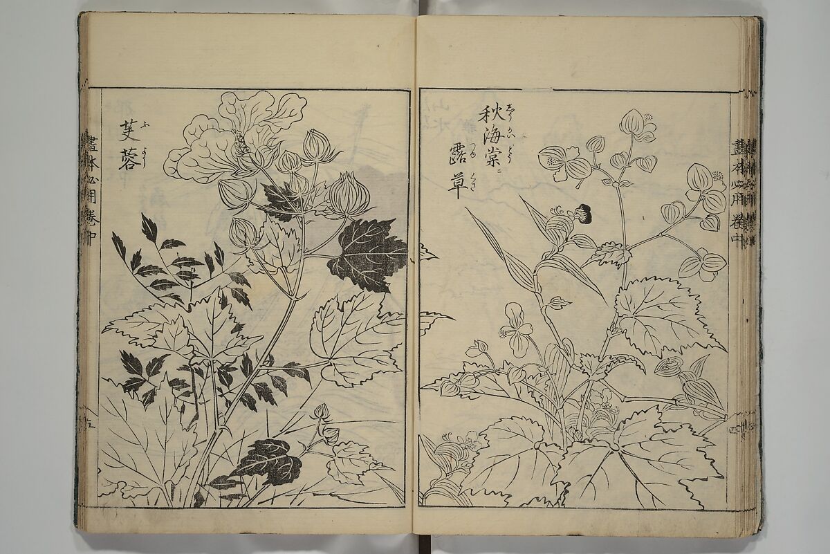Essentials of Painting (Ehon hitsuyō), Illustrations by Nakaji Sadatoshi (Japanese, active 1716–36), Woodblock-printed book; ink and color on paper, Japan