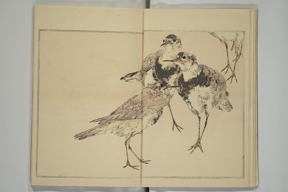 Picture Album of Birds and Flowers (Kachō gafu) 華鳥画譜, Watanabe Seitei 渡辺省亭 (Japanese, 1851–1918), Woodblock printed book; ink and color on paper, Japan