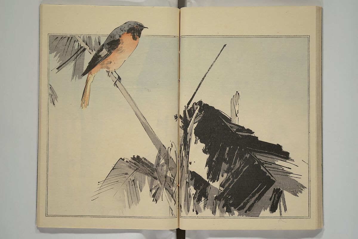 Picture Album of Birds and Flowers (Kachō gafu) 華鳥画譜, Watanabe Seitei 渡辺省亭 (Japanese, 1851–1918), Woodblock printed book; ink and color on paper, Japan