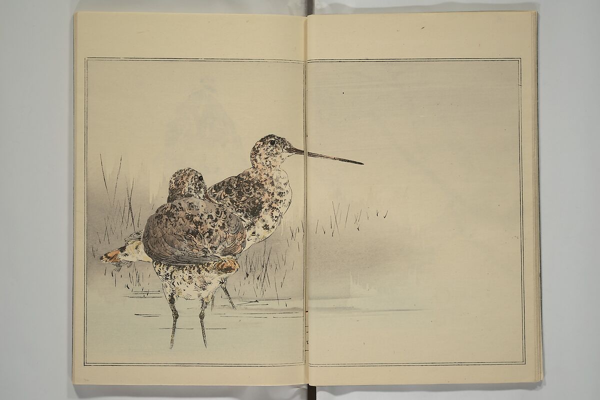 Picture Album of Birds and Flowers (Kachō gafu) 華鳥画譜, Watanabe Seitei 渡辺省亭 (Japanese, 1851–1918), Woodblock printed book; ink and color on paper, Japan