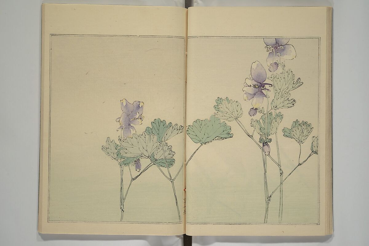 Picture Album of Birds and Flowers (Kachō gafu) 華鳥画譜, Watanabe Seitei 渡辺省亭 (Japanese, 1851–1918), Woodblock printed book; ink and color on paper, Japan