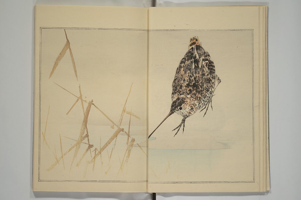Picture Album of Birds and Flowers (Kachō gafu) 華鳥画譜, Watanabe Seitei 渡辺省亭 (Japanese, 1851–1918), Woodblock printed book; ink and color on paper, Japan