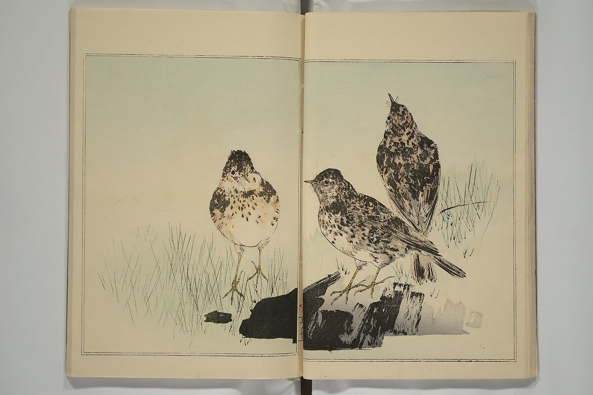 Picture Album of Birds and Flowers (Kachō gafu) 華鳥画譜, Watanabe Seitei 渡辺省亭 (Japanese, 1851–1918), Woodblock printed book; ink and color on paper, Japan