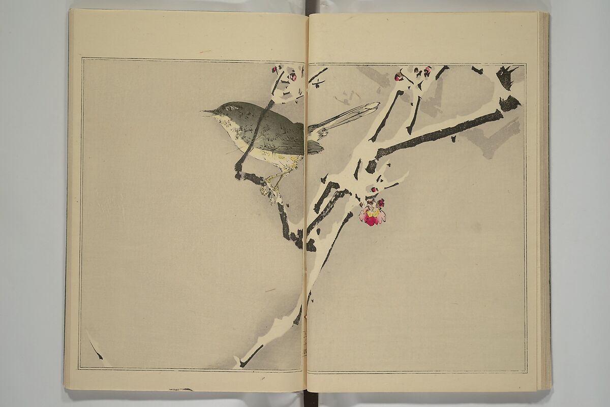 Picture Album of Birds and Flowers (Kachō gafu) 華鳥画譜, Watanabe Seitei 渡辺省亭 (Japanese, 1851–1918), Woodblock printed book; ink and color on paper, Japan