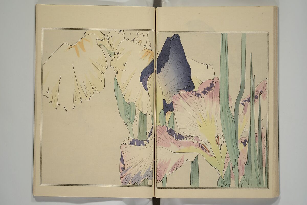 Picture Album of Birds and Flowers (Kachō gafu) 華鳥画譜, Watanabe Seitei 渡辺省亭 (Japanese, 1851–1918), Woodblock printed book; ink and color on paper, Japan