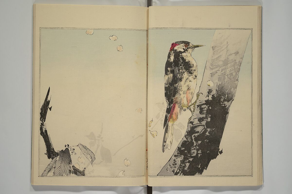 Picture Album of Birds and Flowers (Kachō gafu) 華鳥画譜, Watanabe Seitei 渡辺省亭 (Japanese, 1851–1918), Woodblock printed book; ink and color on paper, Japan