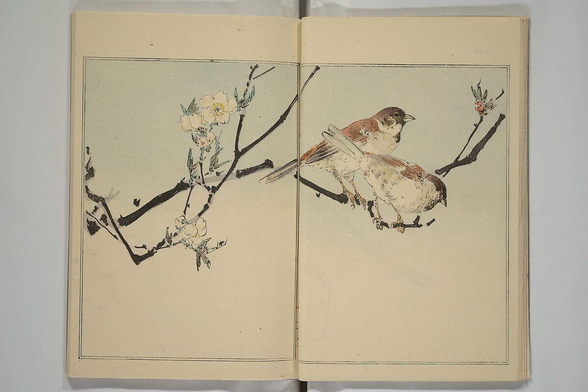 Picture Album of Birds and Flowers (Kachō gafu) 華鳥画譜, Watanabe Seitei 渡辺省亭 (Japanese, 1851–1918), Woodblock printed book; ink and color on paper, Japan