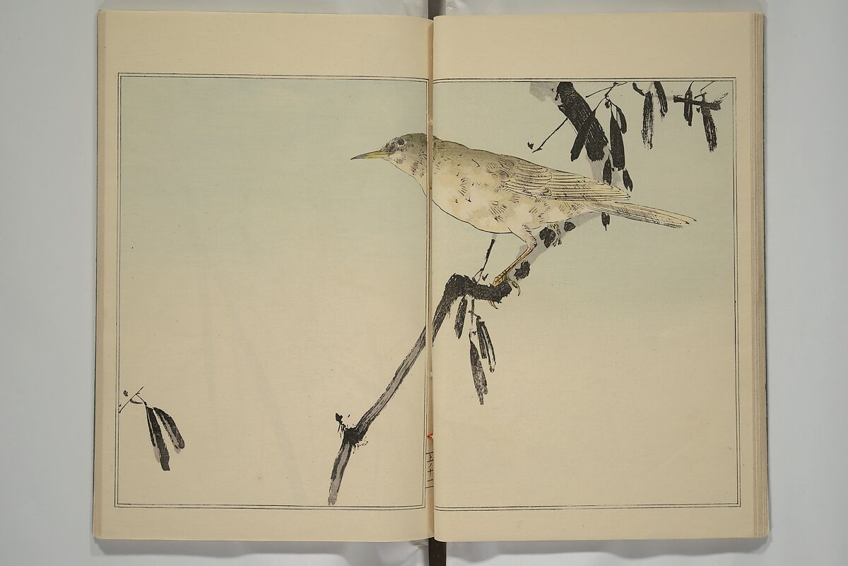 Picture Album of Birds and Flowers (Kachō gafu) 華鳥画譜, Watanabe Seitei 渡辺省亭 (Japanese, 1851–1918), Woodblock printed book; ink and color on paper, Japan