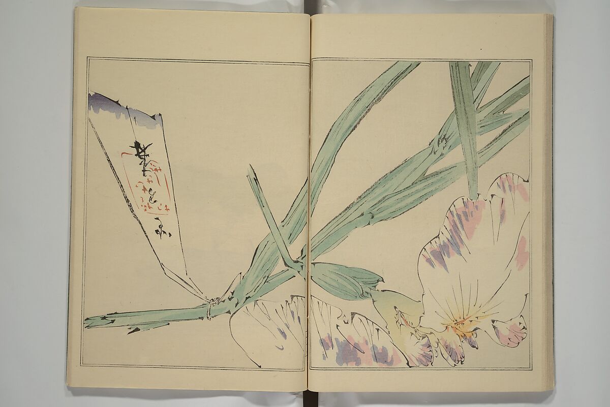 Picture Album of Birds and Flowers (Kachō gafu) 華鳥画譜, Watanabe Seitei 渡辺省亭 (Japanese, 1851–1918), Woodblock printed book; ink and color on paper, Japan
