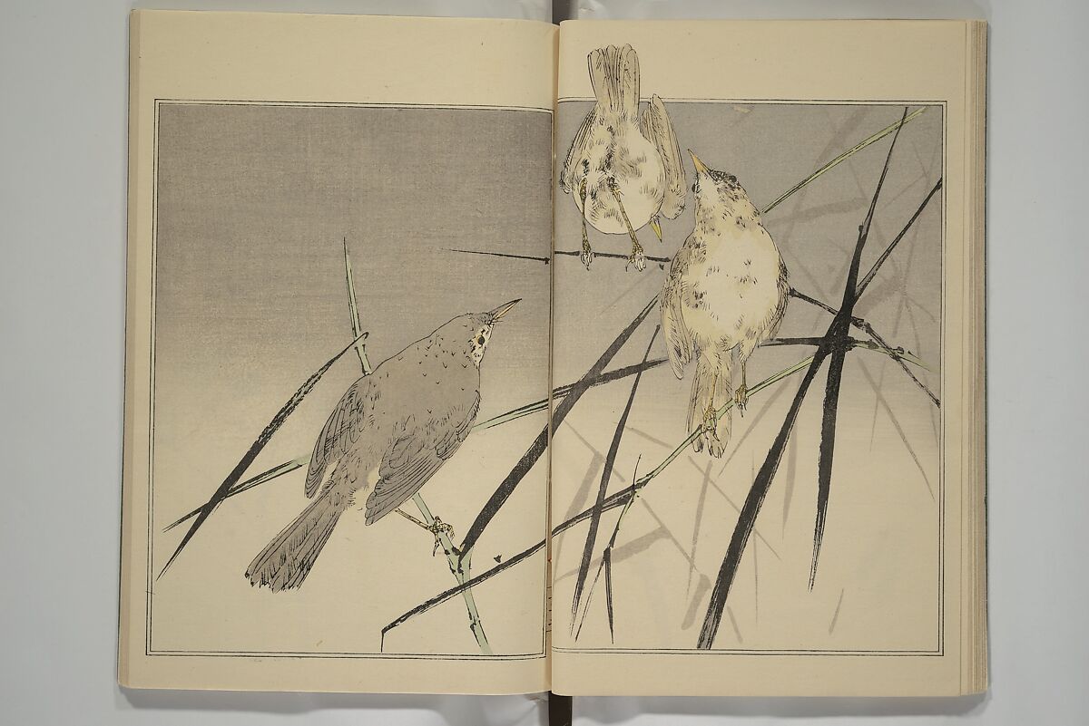 Picture Album of Birds and Flowers (Kachō gafu) 華鳥画譜, Watanabe Seitei 渡辺省亭 (Japanese, 1851–1918), Woodblock printed book; ink and color on paper, Japan