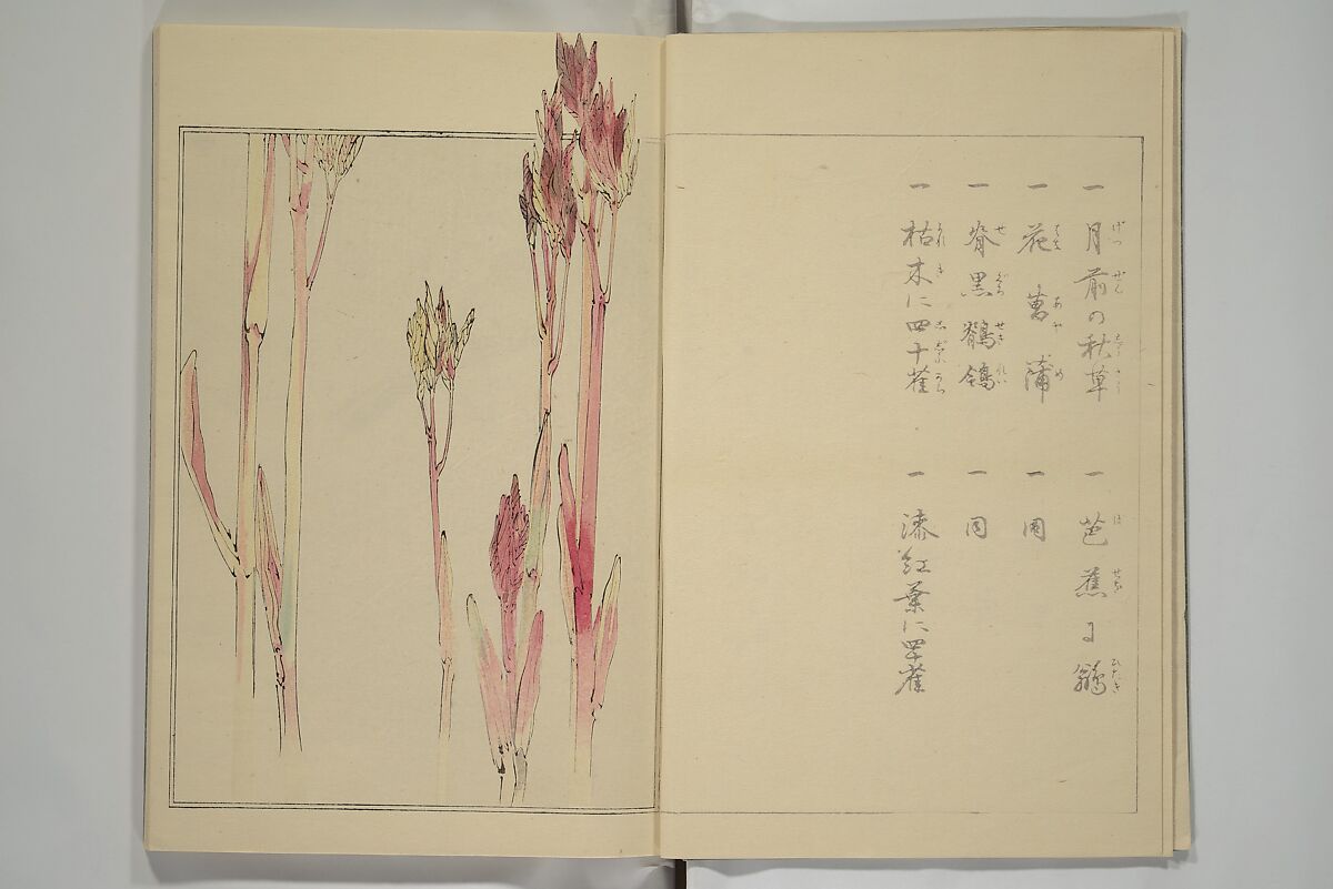 Picture Album of Birds and Flowers (Kachō gafu) 華鳥画譜, Watanabe Seitei 渡辺省亭 (Japanese, 1851–1918), Woodblock printed book; ink and color on paper, Japan