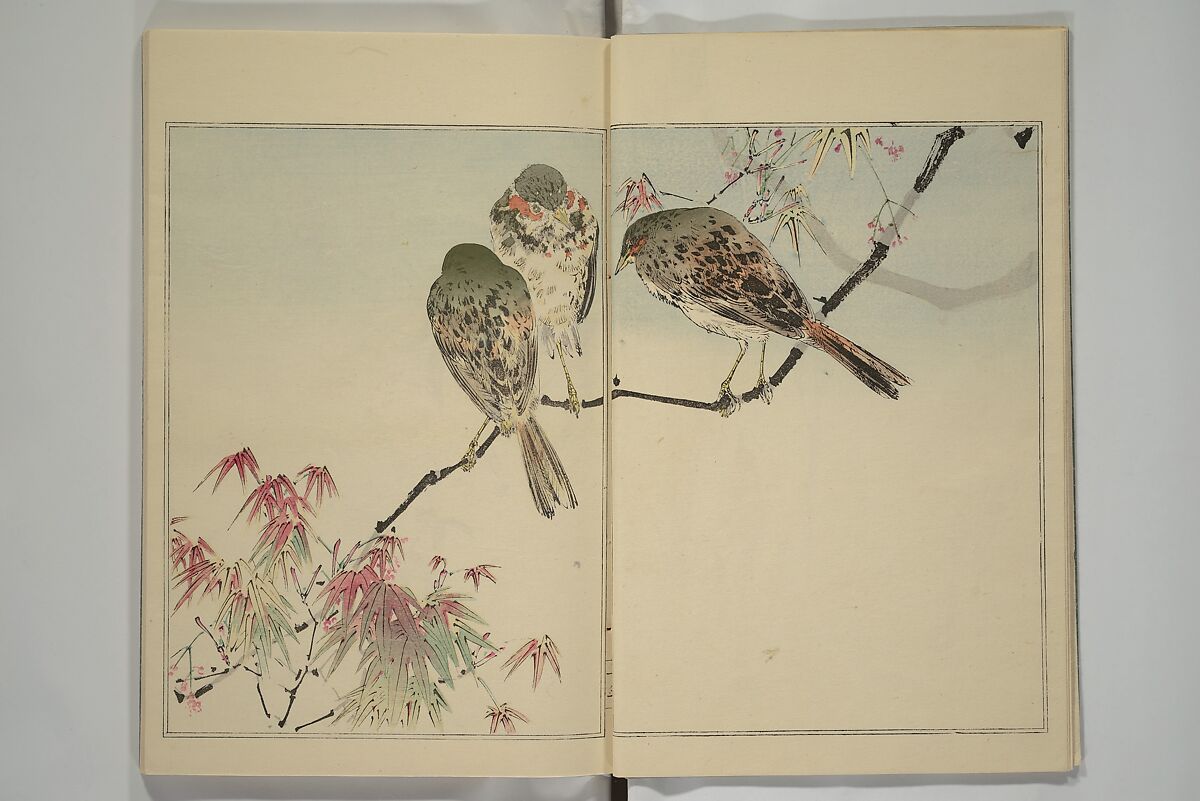 Picture Album of Birds and Flowers (Kachō gafu) 華鳥画譜, Watanabe Seitei 渡辺省亭 (Japanese, 1851–1918), Woodblock printed book; ink and color on paper, Japan